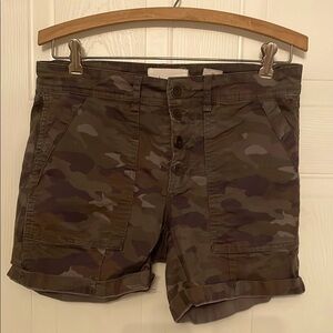 Anthropologie Brown and Green Cargo Shorts